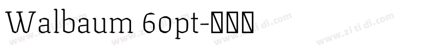Walbaum 60pt字体转换